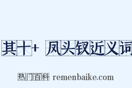 其十+凤头钗近义词是什么意思的图片